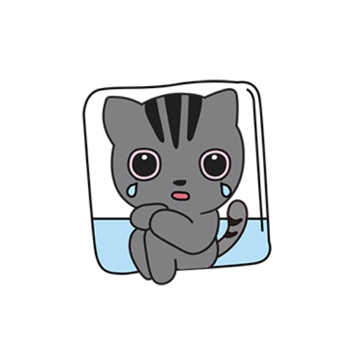 Funny Cat Cute Stickers icon