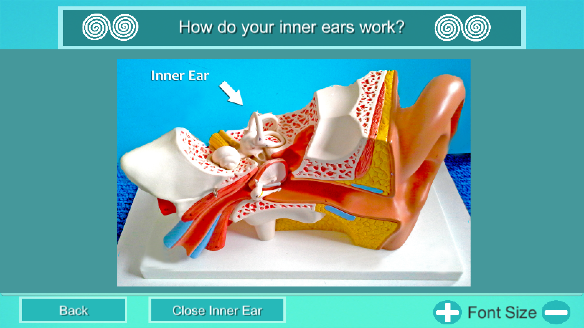BPPV Relief