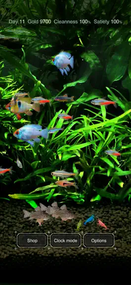 Game screenshot Tropical Fish Tank - Mini Aqua mod apk
