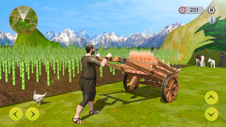 Virtual Village Farming Life