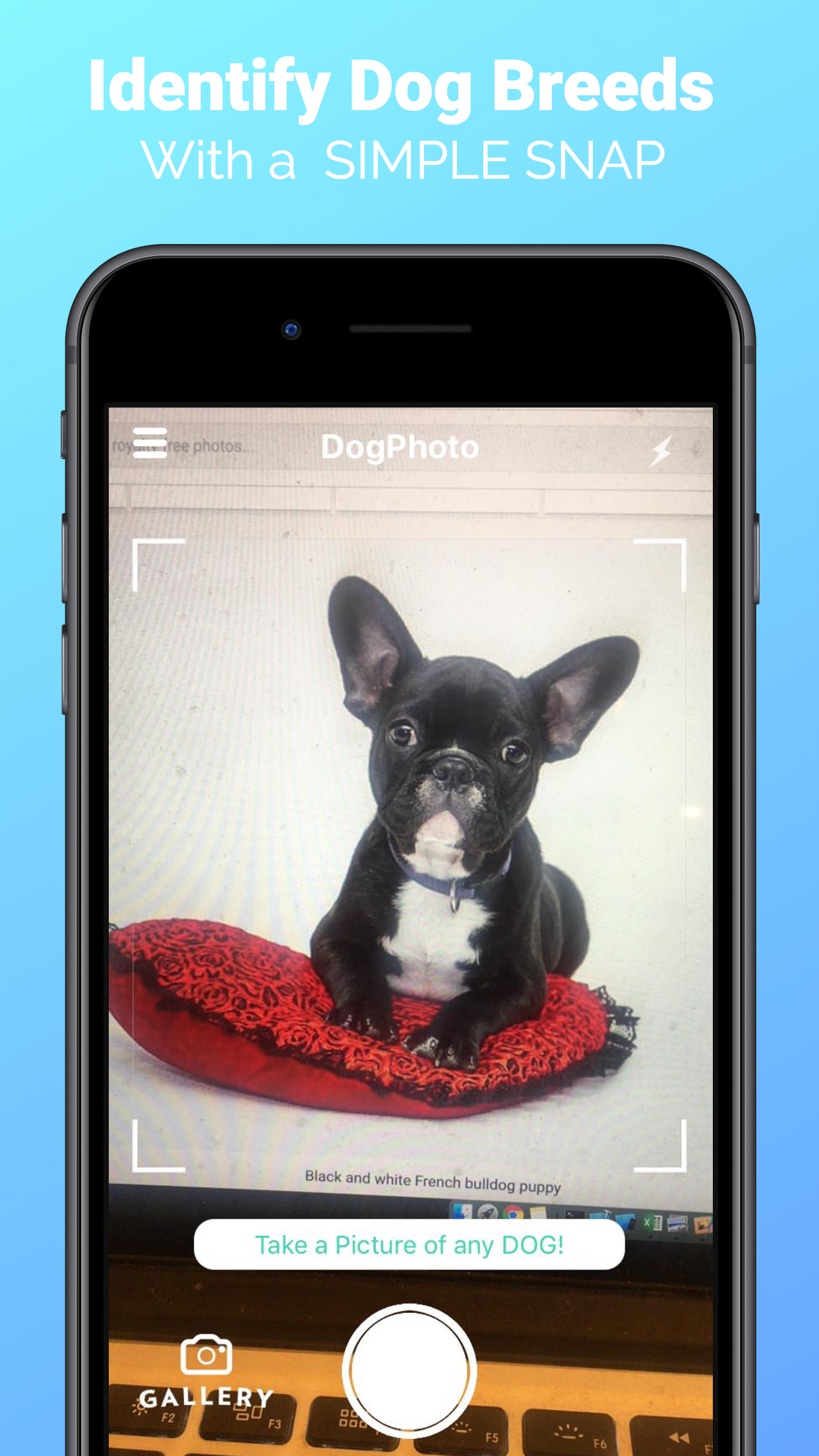 DogPhoto - Dog Breed Scanner