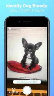 dogphoto - dog breed scanner iphone screenshot 1