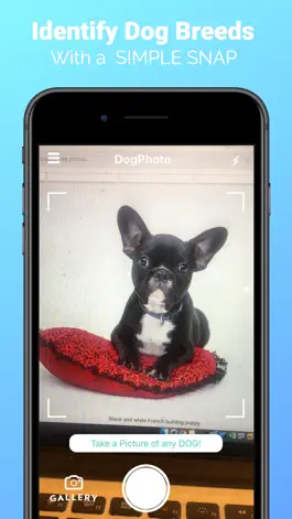 Game screenshot DogPhoto - Dog Breed Scanner mod apk