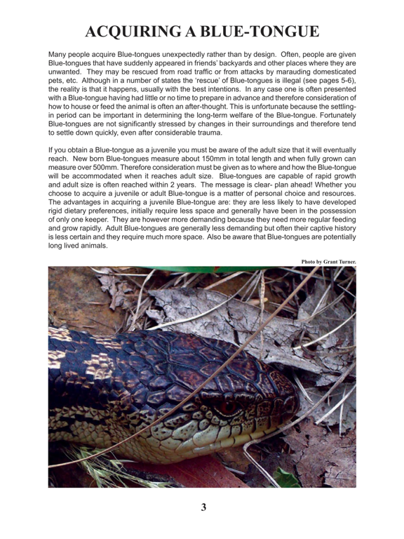 Screenshot #6 pour Reptile Books