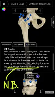 skeleton system pro iii-iphone iphone screenshot 2