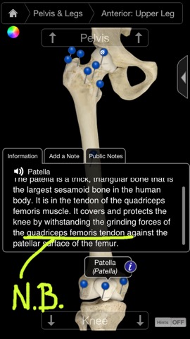 3D4Medical Body Systems for iPhoneのおすすめ画像5