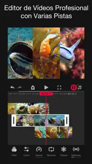 focos live iphone capturas de pantalla 2