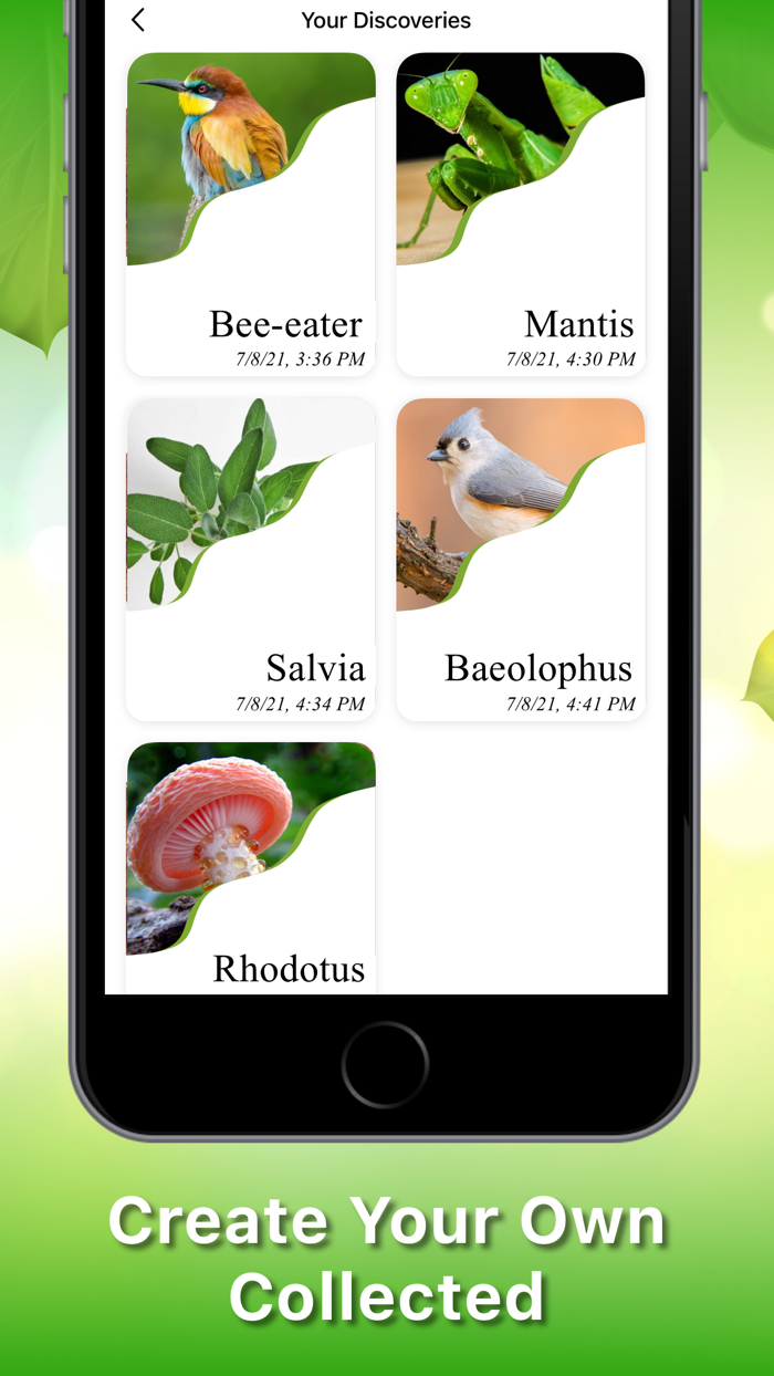 Identify Insects Plants Birds