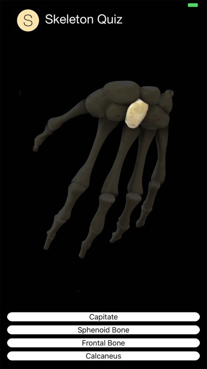 Skeleton Quiz screenshot-7