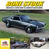 Bone Stock problems & troubleshooting and solutions