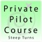 Icon Steep Turns - Private Pilot