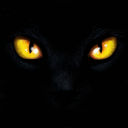 Blackout: The Darkest Night