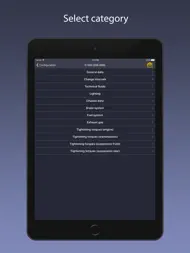 TechApp for Mercedes ipad bilder 2