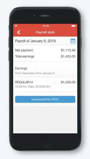 Payroll by Nethris screenshot 4