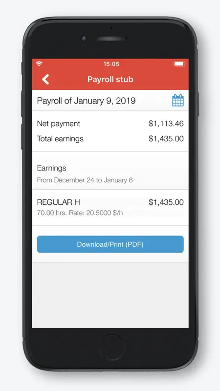 Payroll by Nethris screenshot 4 of 7