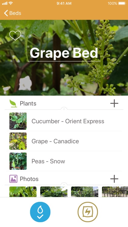 Lazy Gardener