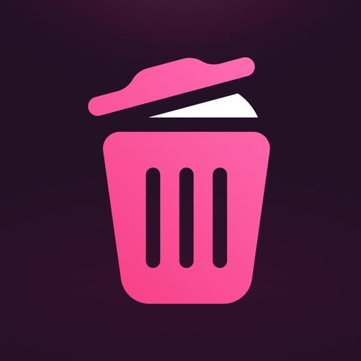 Junk Cleaner Light Icon