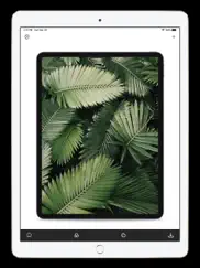 store screenshot maker ipad capturas de pantalla 3