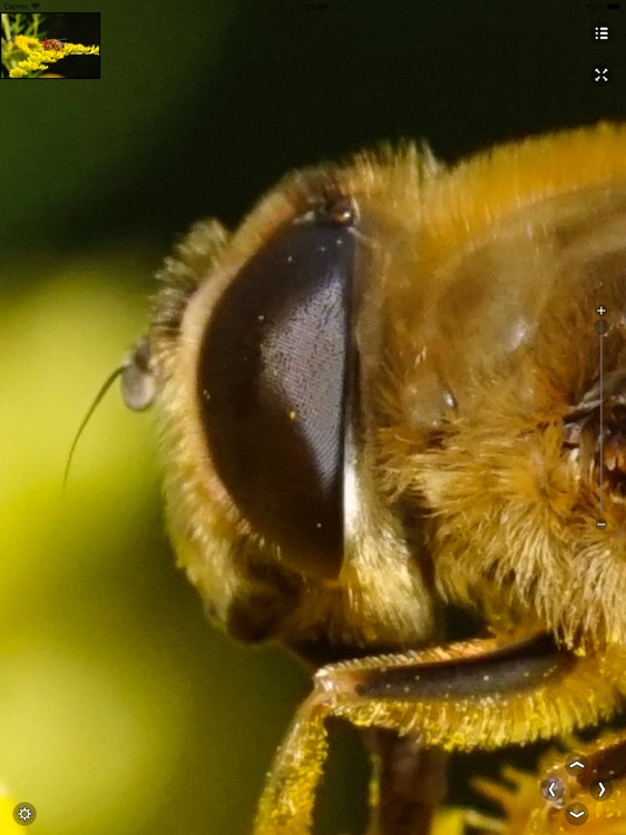 Viewer for Very Large Images screenshot-6