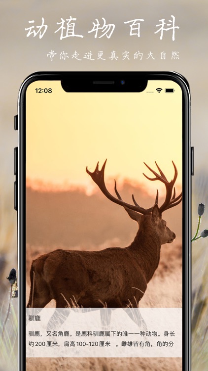 拍照识物-动物、植物快速识别全能王
