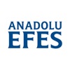 Efes rus code of conduct icon