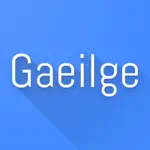 Irish Dictionary Pro App Positive Reviews