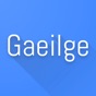 Irish Dictionary Pro app download