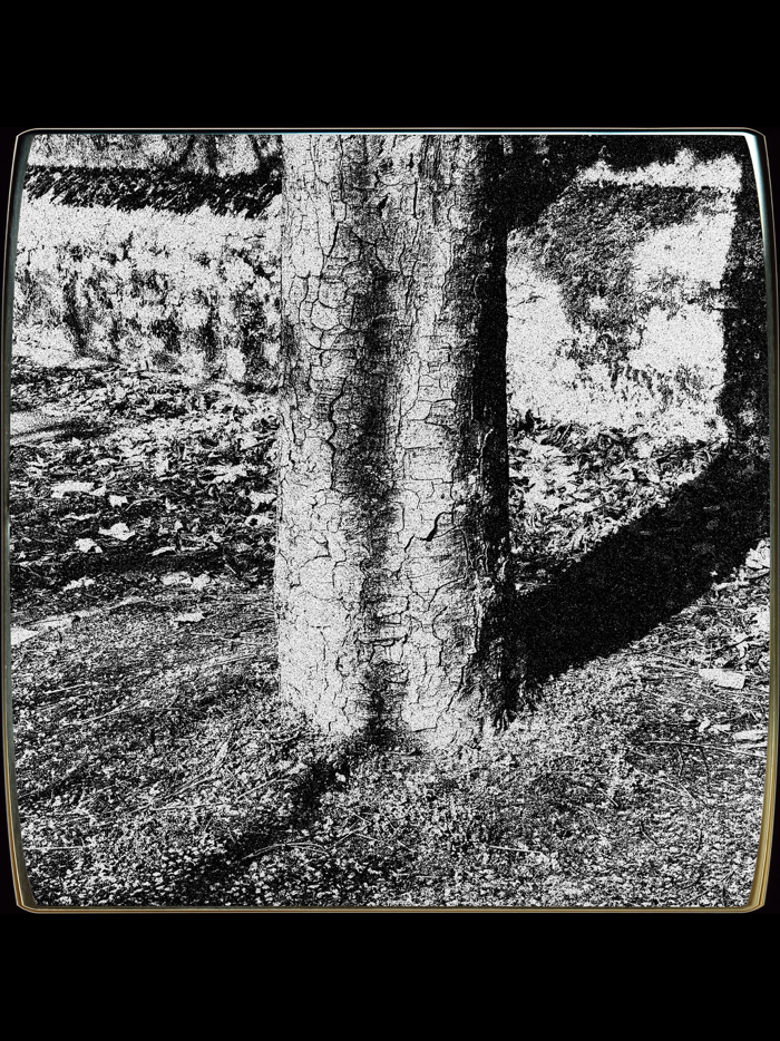 Vica Vintage Camera Simulator