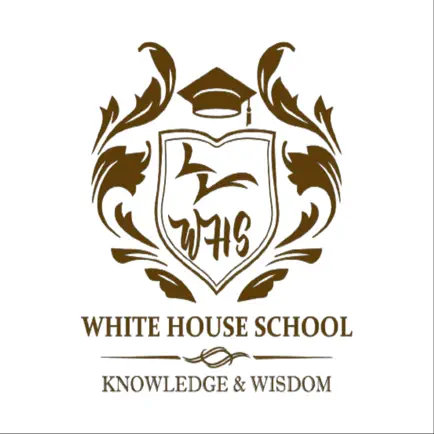 White House School Kpr Читы