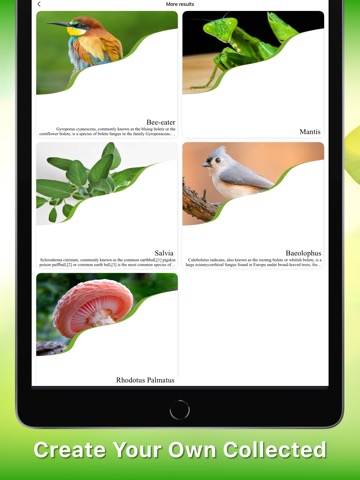 Insect identifier 植物 虫検索 虫アプリのおすすめ画像3