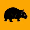 WombatCam contact information