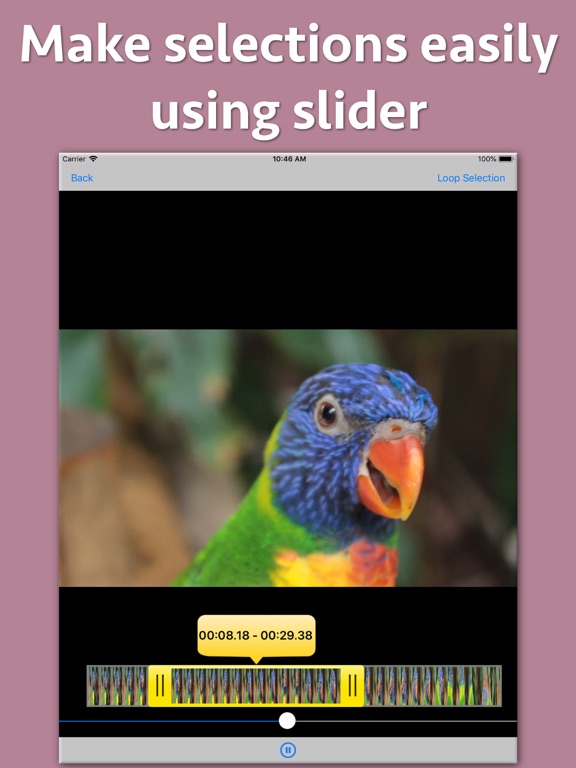 Screenshot #6 pour Video Looper Pro