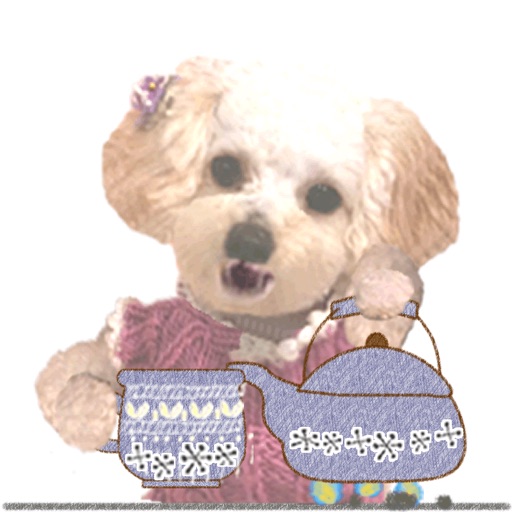 動くトイプードルるんるん１