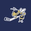 GT Hockey icon