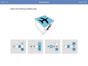 SkyTest IP-BQ Preparation App screenshot #3 for iPad