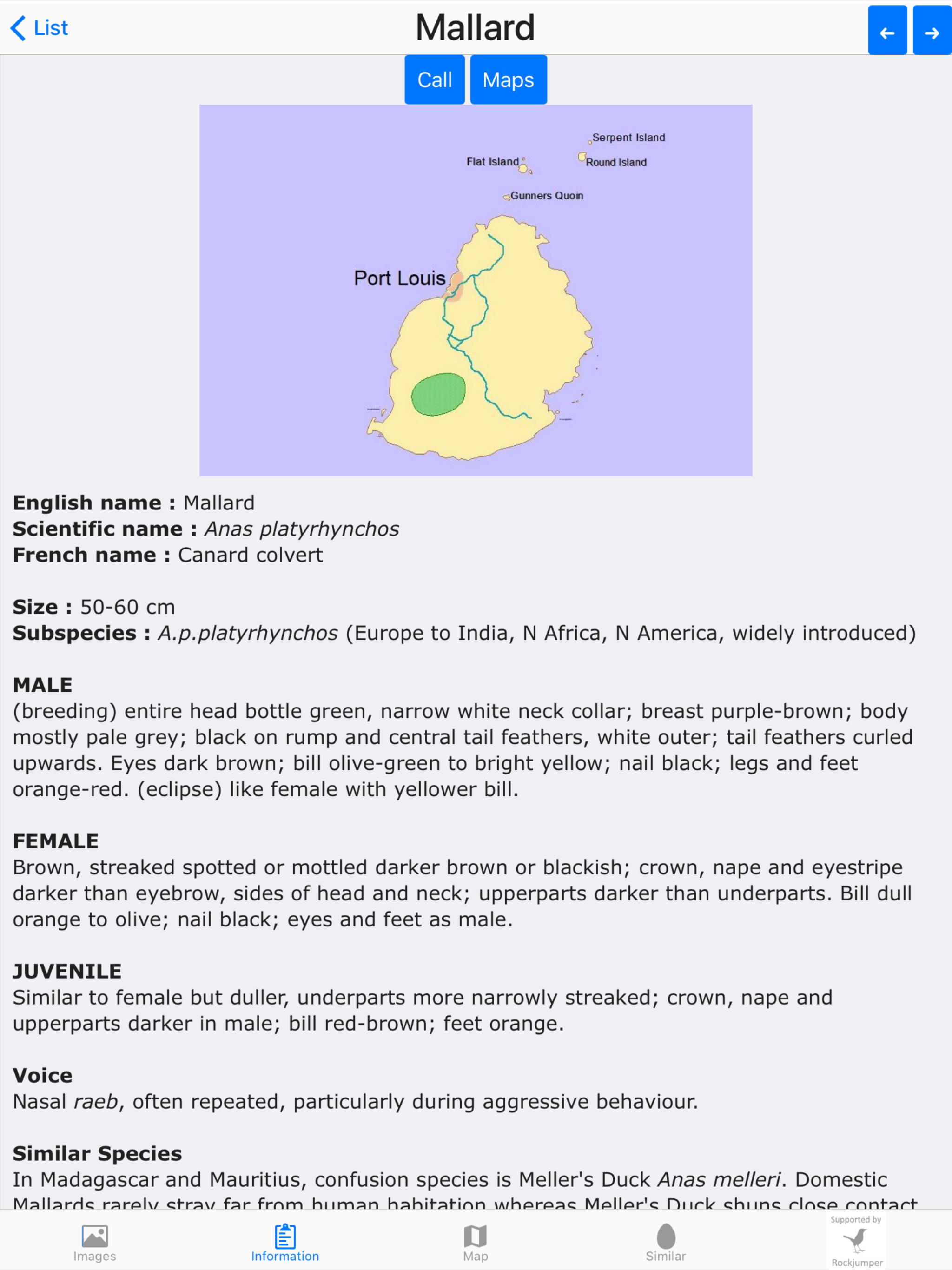 Birds of Mauritius
