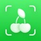 Icon EatIt - Food Identifier