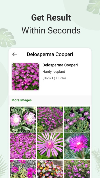Plant Identifier and info screenshot-4