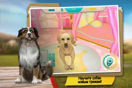 Game screenshot Dog Hotel  играть с собаками hack