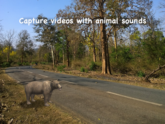 Screenshot #6 pour Wildlife AR