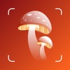 Mushroom Identification ++ icon