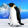 Penguin Aquarium icon