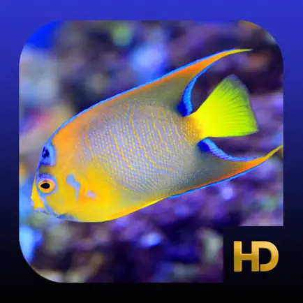 Peaceful Aquarium HD Читы