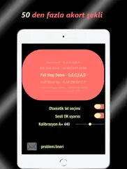 gitar tuner - pro akort aleti ipad resimleri 3