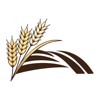 New Harvest Community Church icon