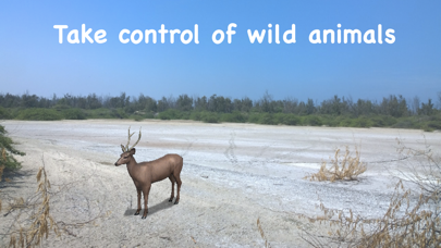 Screenshot #2 pour Wildlife AR