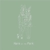 Hare on the Park