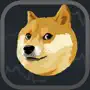 DOGE-Jump