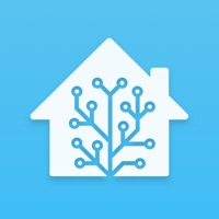 Home Assistant messages.notwork
