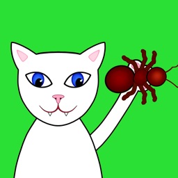 Kitty Krawlers